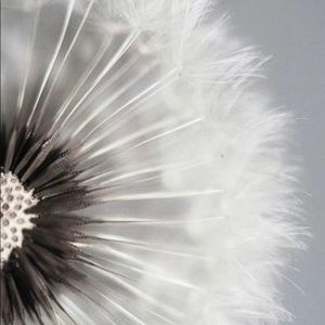 Meet your Posher, Stacie